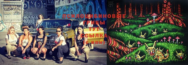 хмурый Майский